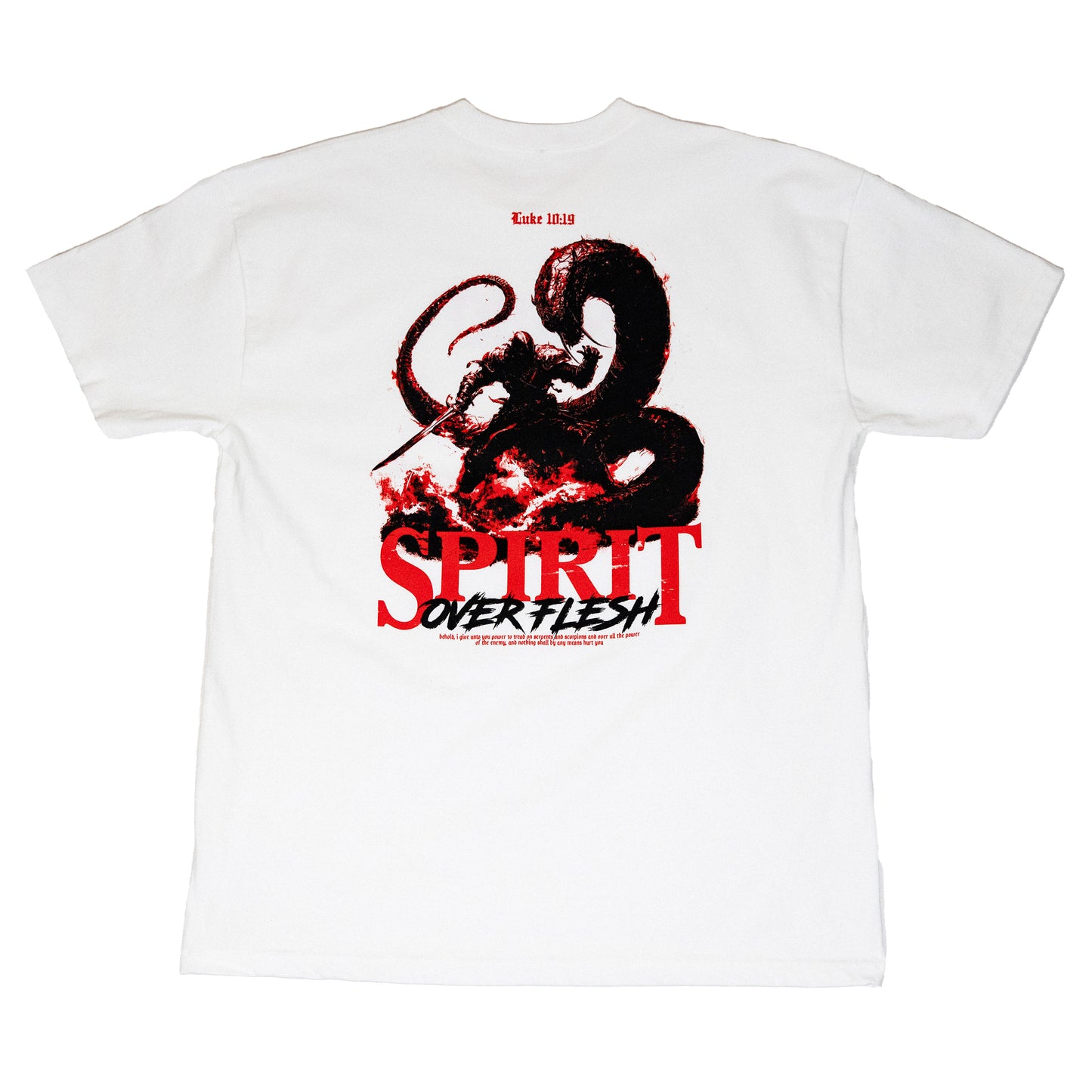 Serpent Slayer White Short Sleeve Oversized Tee